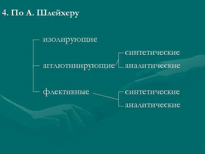 4. По А. Шлейхеру изолирующие агглютинирующие флективные синтетические аналитические 