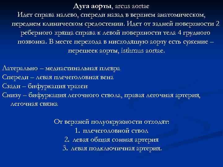 Дуга аорты, arcus aortae Идет справа налево, спереди назад в верхнем анатомическом, переднем клиническом