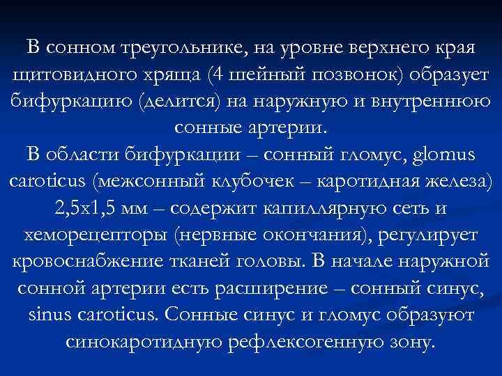 В сонном треугольнике, на уровне верхнего края щитовидного хряща (4 шейный позвонок) образует бифуркацию