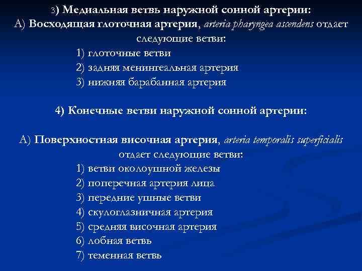 3) Медиальная ветвь наружной сонной артерии: А) Восходящая глоточная артерия, arteria pharyngea ascendens отдает