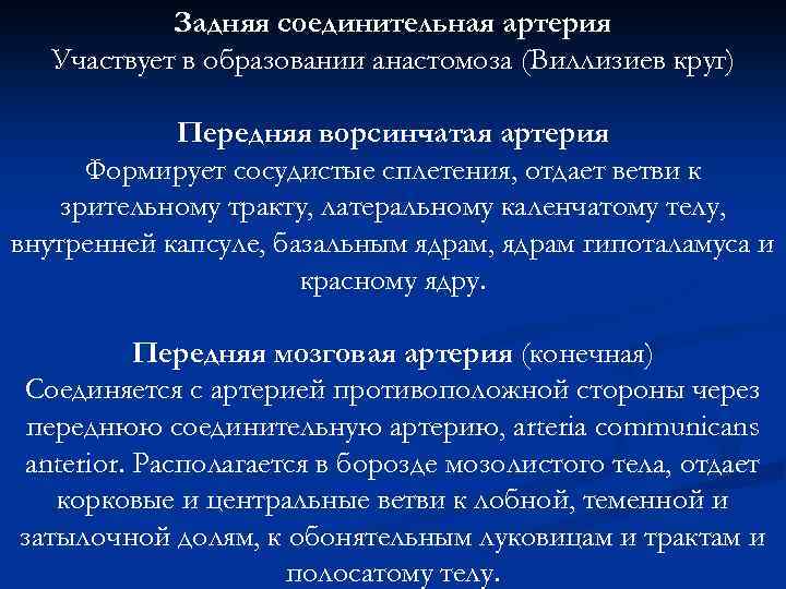 Задняя соединительная артерия Участвует в образовании анастомоза (Виллизиев круг) Передняя ворсинчатая артерия Формирует сосудистые