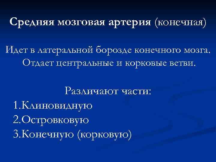 Средняя мозговая артерия (конечная) Идет в латеральной борозде конечного мозга. Отдает центральные и корковые