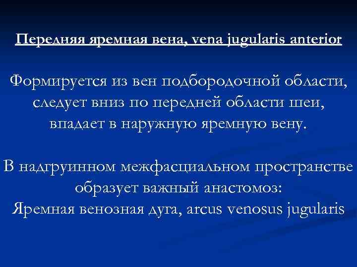 Передняя яремная вена, vena jugularis anterior Формируется из вен подбородочной области, следует вниз по