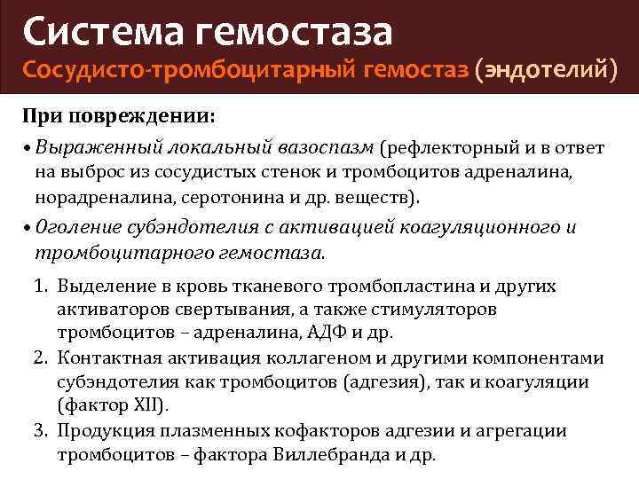 Система гемостаза Сосудисто-тромбоцитарный гемостаз (эндотелий) При повреждении: • Выраженный локальный вазоспазм (рефлекторный и в