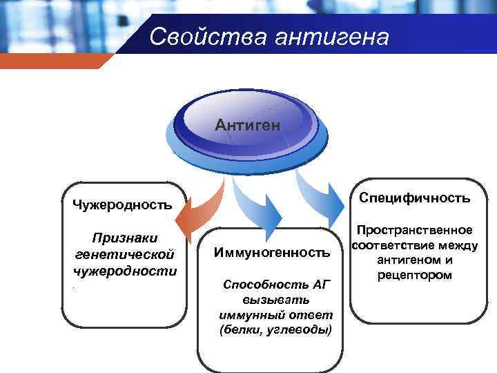 Свойства антигена Антиген Специфичность Чужеродность Признаки генетической чужеродности. Иммуногенность Способность АГ вызывать иммунный ответ