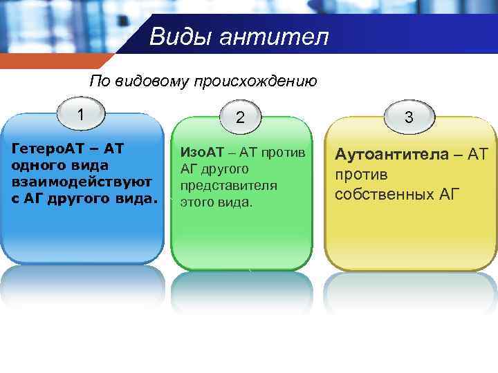 Виды антител По видовому происхождению 1 2 3 Гетеро. АТ – АТ одного вида