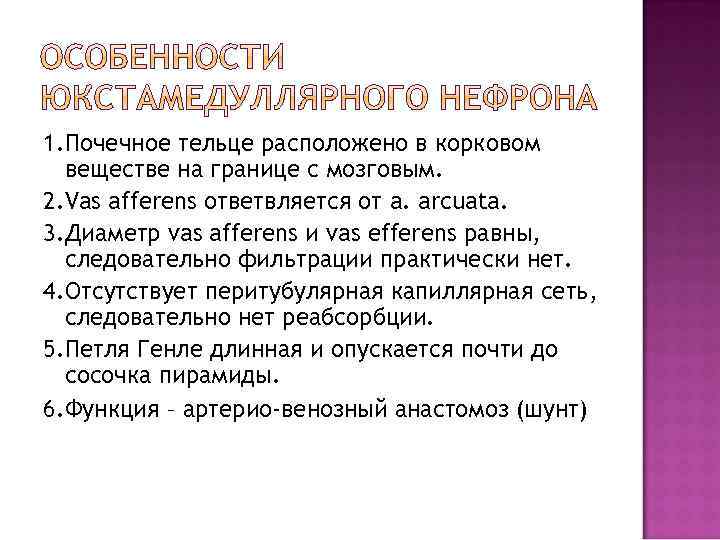 1. Почечное тельце расположено в корковом веществе на границе с мозговым. 2. Vas afferens