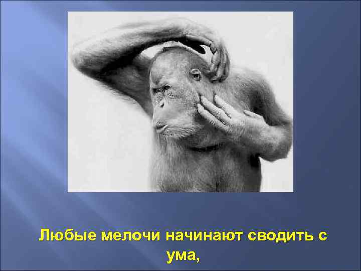 Любые мелочи начинают сводить с ума, 