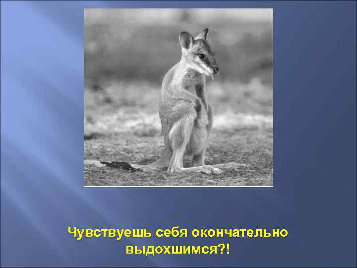 Чувствуешь себя окончательно выдохшимся? ! 