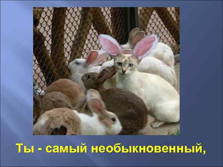 Ты - самый необыкновенный, 