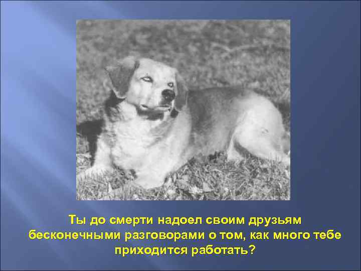 Ты до смерти надоел своим друзьям бесконечными разговорами о том, как много тебе приходится