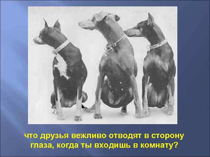 что друзья вежливо отводят в сторону глаза, когда ты входишь в комнату? 