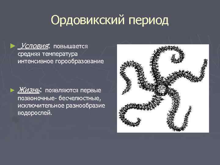 Ордовикский период ► Условия: повышается средняя температура интенсивное горообразование ► Жизнь: появляются первые позвоночные-