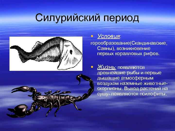 Силурийский период Условия: горообразование(Скандинавские, Саяны), возникновение первых коралловых рифов. Жизнь: появляются древнейшие рыбы и