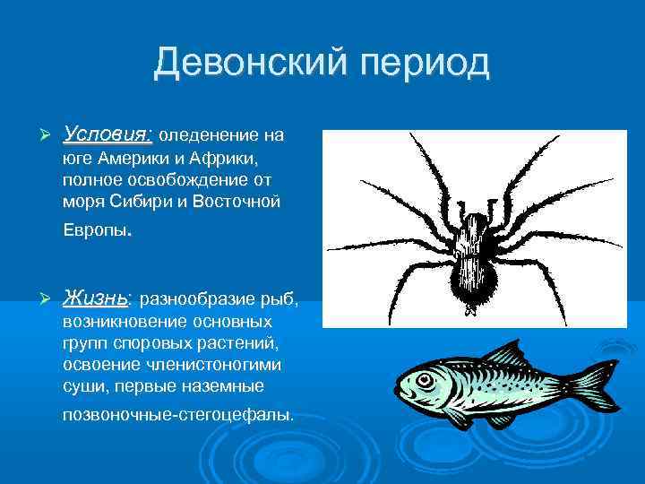 Девонский период Условия: оледенение на юге Америки и Африки, полное освобождение от моря Сибири