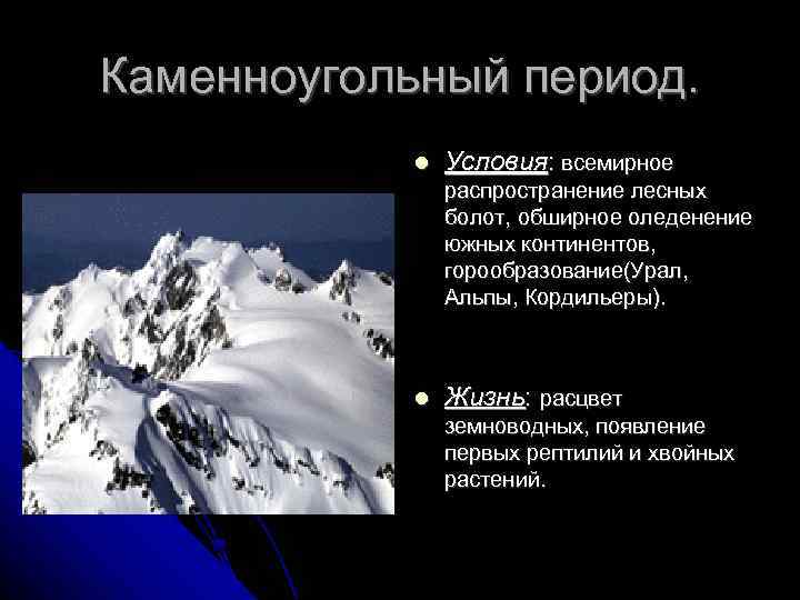 Каменноугольный период. Условия: всемирное распространение лесных болот, обширное оледенение южных континентов, горообразование(Урал, Альпы, Кордильеры).