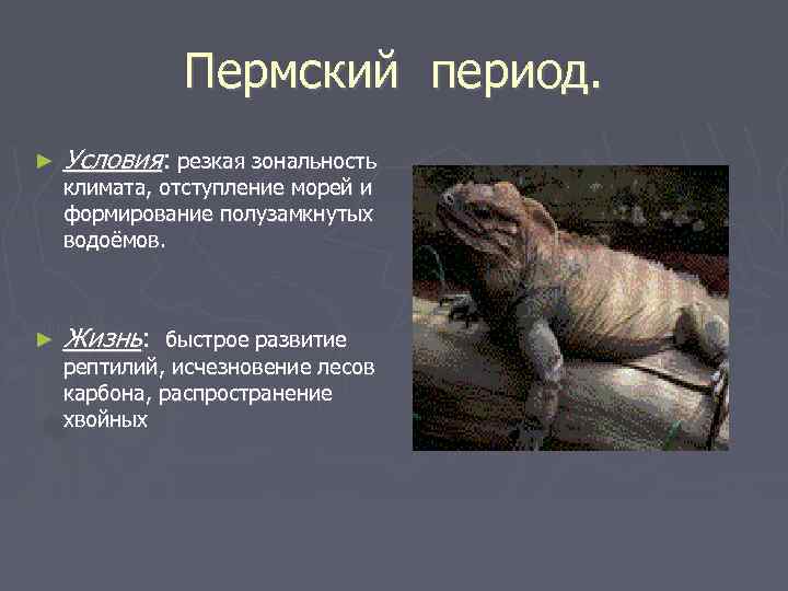 Пермский период. ► Условия: резкая зональность ► Жизнь: климата, отступление морей и формирование полузамкнутых