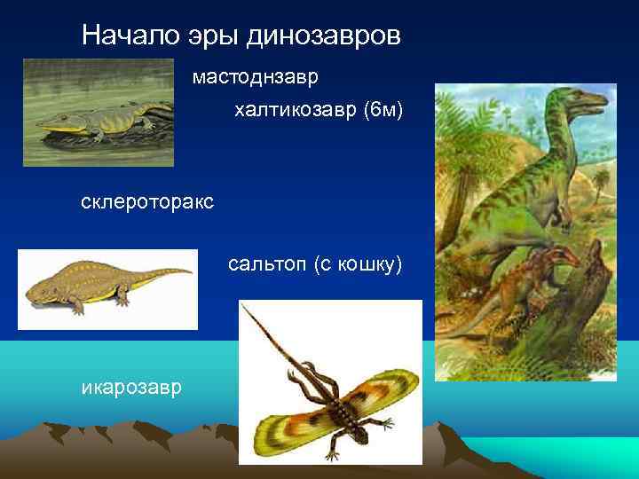 Начало эры динозавров мастоднзавр халтикозавр (6 м) склероторакс сальтоп (с кошку) икарозавр 