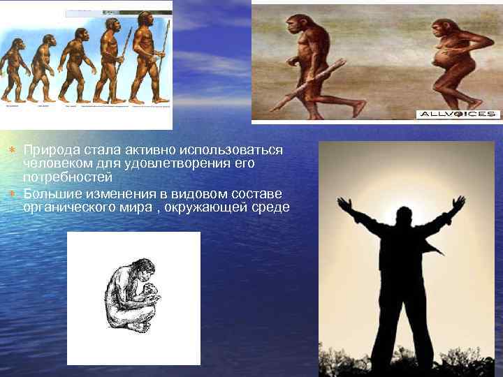  Природа стала активно использоваться человеком для удовлетворения его потребностей Большие изменения в видовом