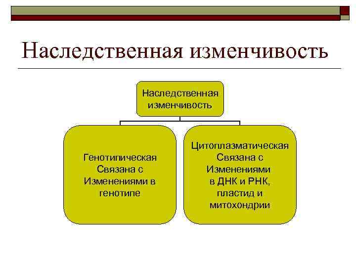 Презентация изменчивость наследственная изменчивость