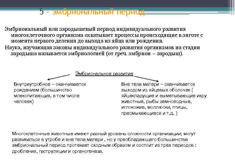 5 – эмбриональный период Эмбриональный или зародышевый период индивидуального развития многоклеточного организма охватывает процессы