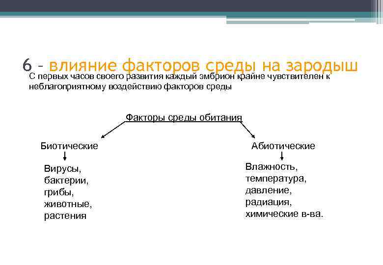 6 С – влияние факторовэмбрион крайне чувствителен к среды на зародыш первых часов своего