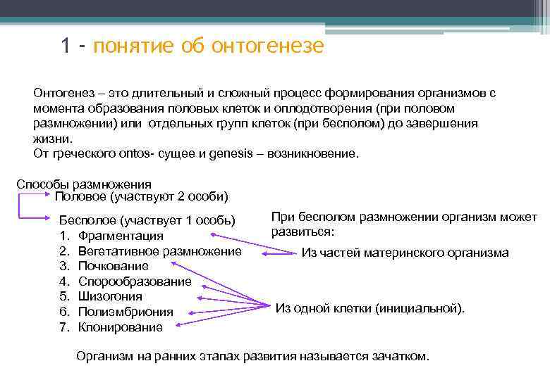 1 - понятие об онтогенезе Онтогенез – это длительный и сложный процесс формирования организмов