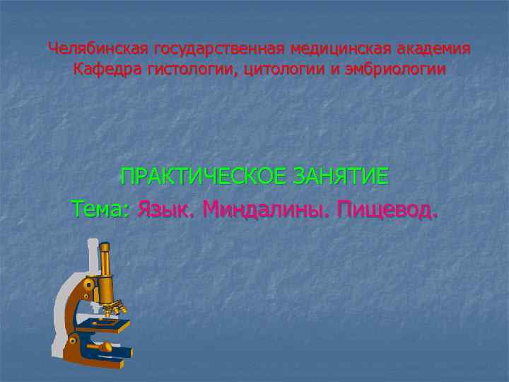 Челябинская государственная медицинская академия Кафедра гистологии, цитологии и эмбриологии ПРАКТИЧЕСКОЕ ЗАНЯТИЕ Тема: Язык. Миндалины.
