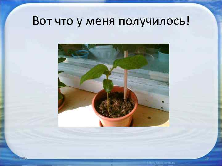 Вот что у меня получилось! 2/2/2018 13 