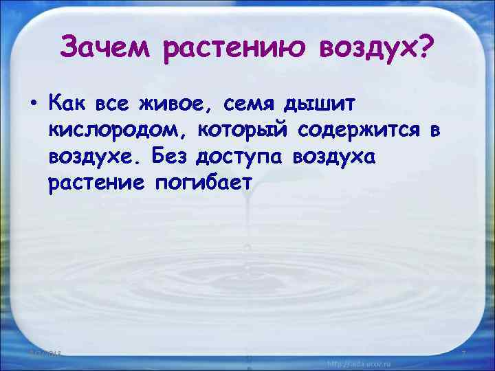 Зачем растению воздух? • Как все живое, семя дышит кислородом, который содержится в воздухе.