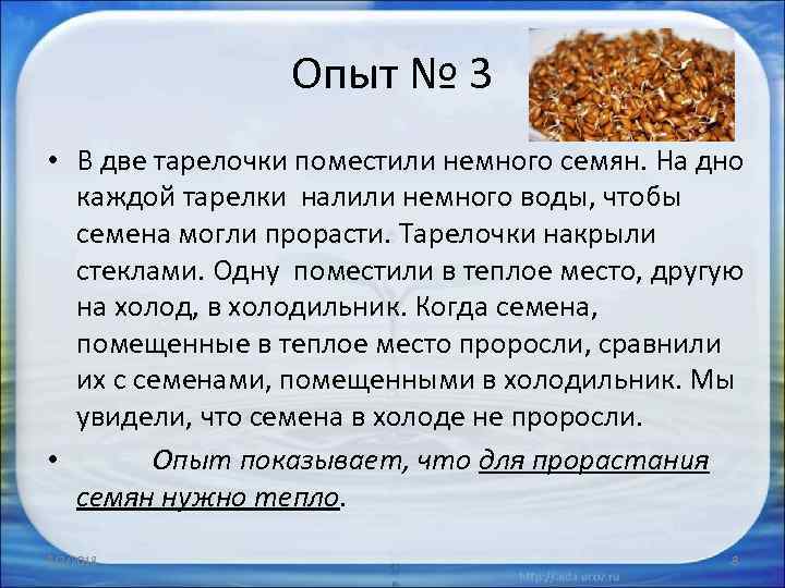 Опыт № 3 • В две тарелочки поместили немного семян. На дно каждой тарелки