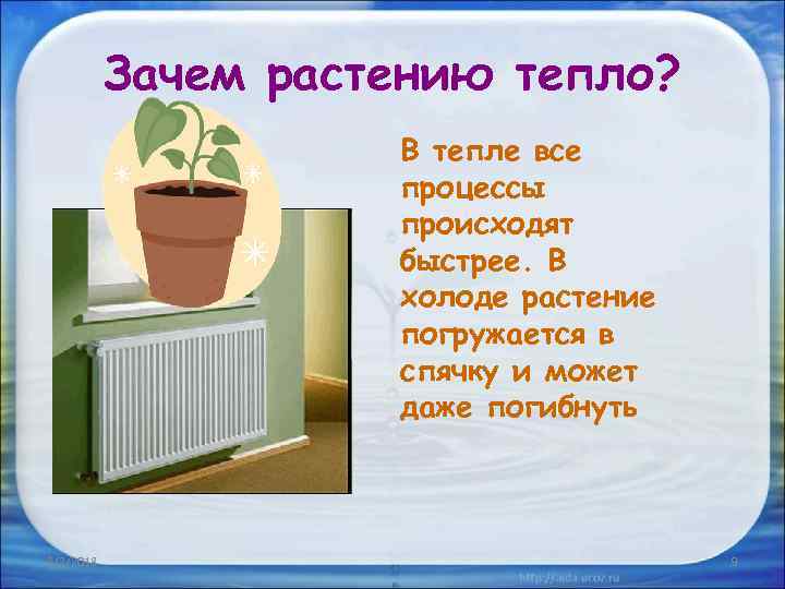 Тепло растения