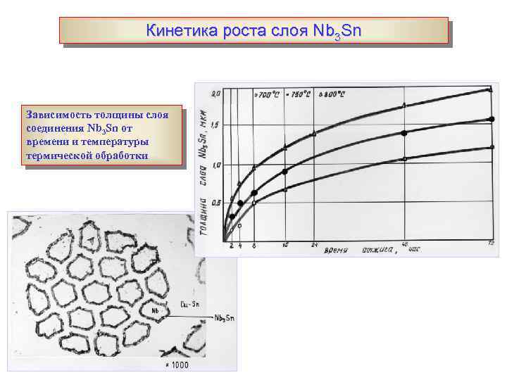 Кинетика роста слоя Nb 3 Sn Зависимость толщины слоя соединения Nb 3 Sn от