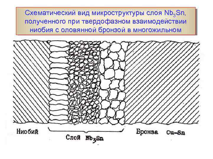 Схематический вид микроструктуры слоя Nb 3 Sn, полученного при твердофазном взаимодействии ниобия с оловянной