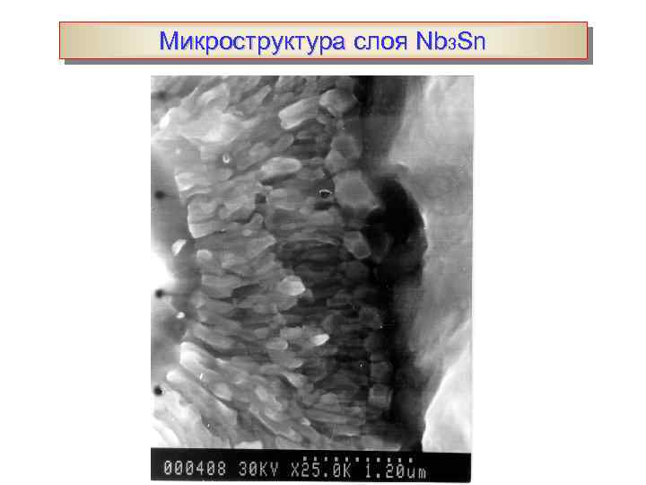 Микроструктура слоя Nb 3 Sn 