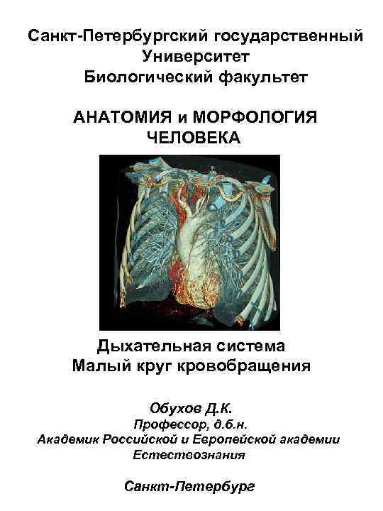 Санкт-Петербургский государственный Университет Биологический факультет АНАТОМИЯ и МОРФОЛОГИЯ ЧЕЛОВЕКА Дыхательная система Малый круг кровобращения