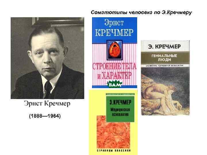 Соматотипы человека по Э. Кречмеру (1888— 1964) 
