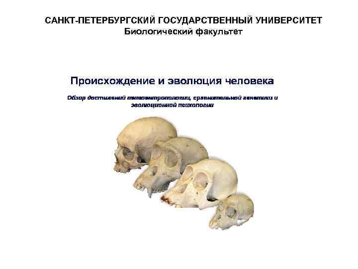 САНКТ ПЕТЕРБУРГСКИЙ ГОСУДАРСТВЕННЫЙ УНИВЕРСИТЕТ Биологический факультет 