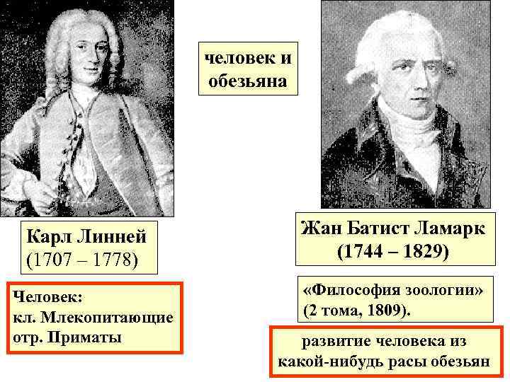 человек и обезьяна Карл Линней (1707 – 1778) Человек: кл. Млекопитающие отр. Приматы Жан