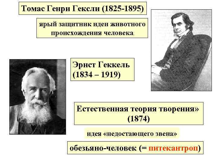 Томас Генри Гексли (1825 -1895) ярый защитник идеи животного происхождения человека Эрнст Геккель (1834