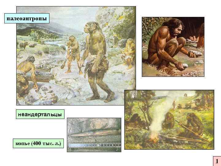 палеоантропы неандертальцы копье (400 тыс. л. ) 1 