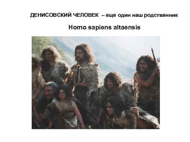 ДЕНИСОВСКИЙ ЧЕЛОВЕК – еще один наш родственник Homo sapiens altaensis 