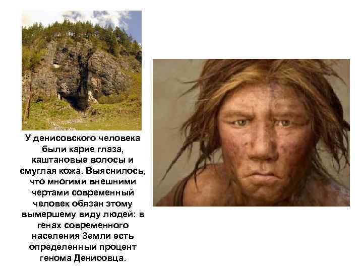 У денисовского человека были карие глаза, каштановые волосы и смуглая кожа. Выяснилось, что многими