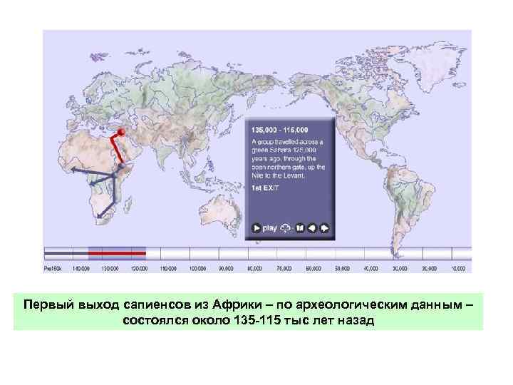 Первый выход сапиенсов из Африки – по археологическим данным – состоялся около 135 115
