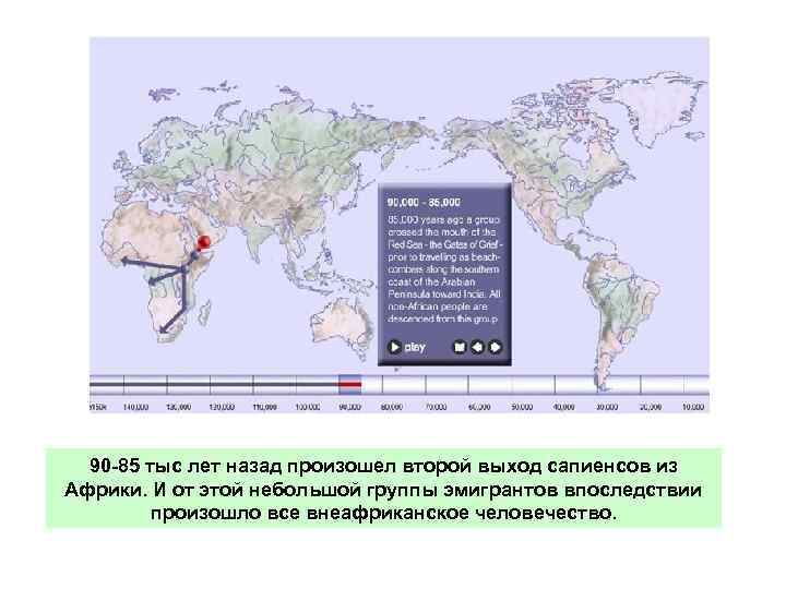 90 85 тыс лет назад произошел второй выход сапиенсов из Африки. И от этой