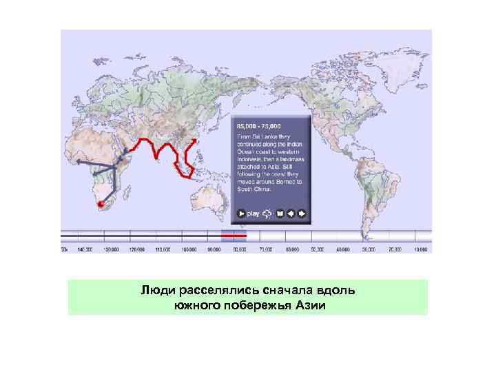 Люди расселялись сначала вдоль южного побережья Азии 