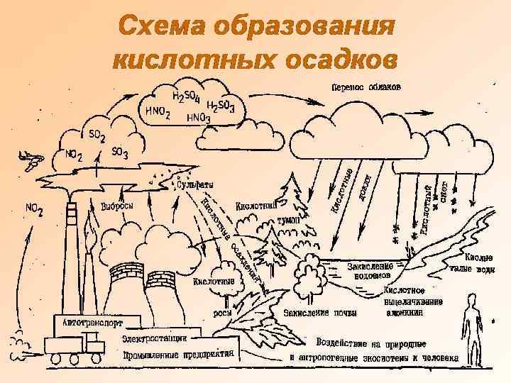 Кислотные осадки 