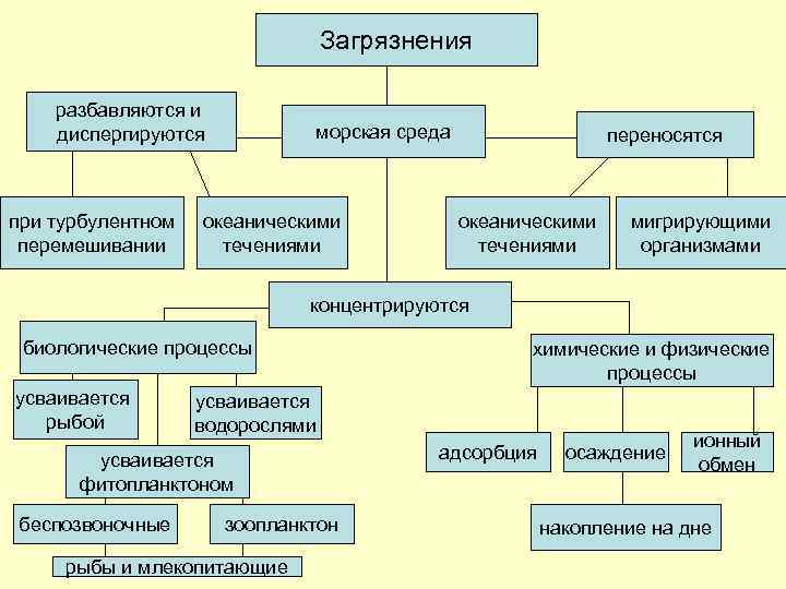 Причины данных видов загрязнений литосферы. Схема источники загрязнения литосферы. Виды загрязнения литосферы. Загрязнители литосферы. Загрязнение гидросферы схема.