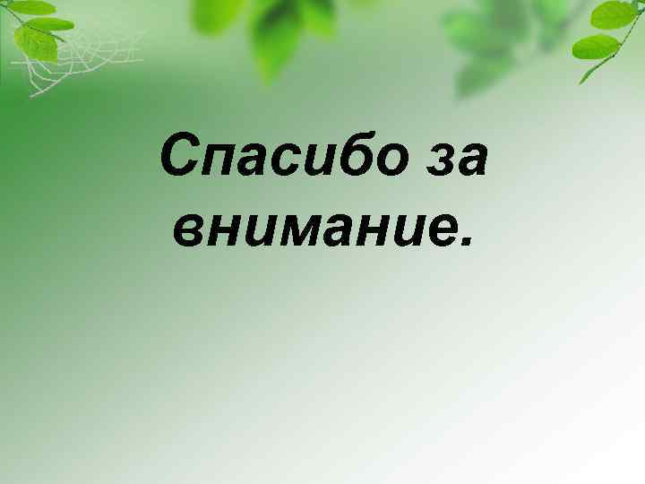 Спасибо за внимание. 