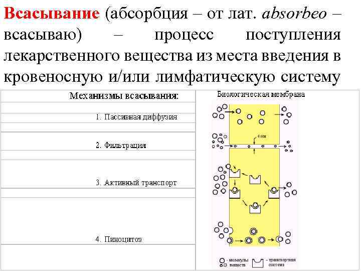 Всасывание (абсорбция – от лат. absorbeo – всасываю) – процесс поступления лекарственного вещества из